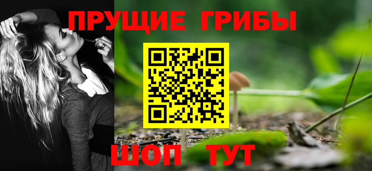 Лосино-Петровский  Псилоцибиновые грибы Magic Shrooms  Вход с VPN 